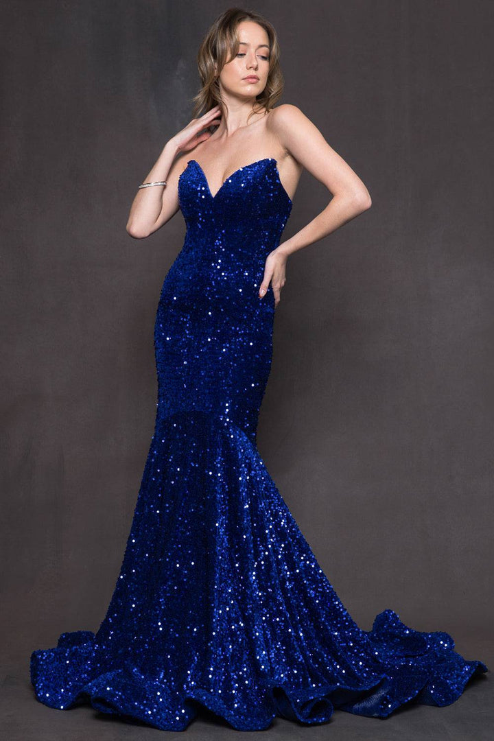 Embroidered Sequin Open Back Mermaid Long Prom Dress AC392