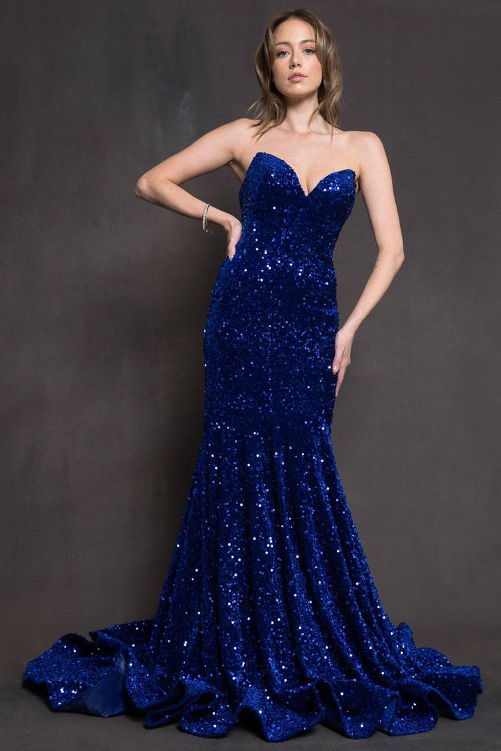 Embroidered Sequin Open Back Mermaid Long Prom Dress AC392