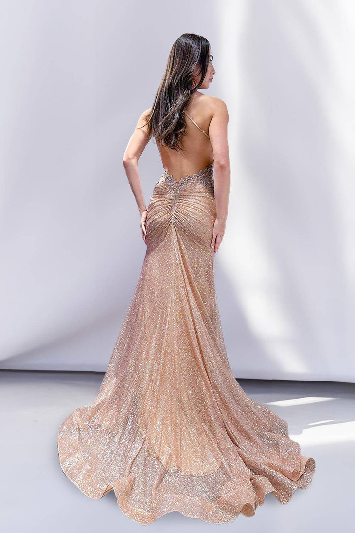 Embellished Glitter Mermaid Open Crossed Back Long Prom Dress ACTM1014