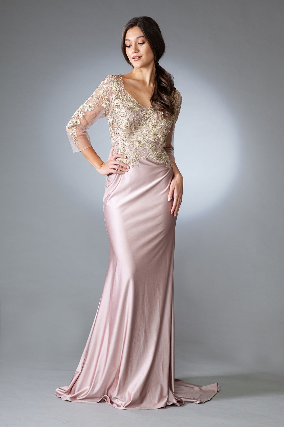Open V-Back Mermaid Long Sleeves Long Mother Of The Bride Dress AC7039-3