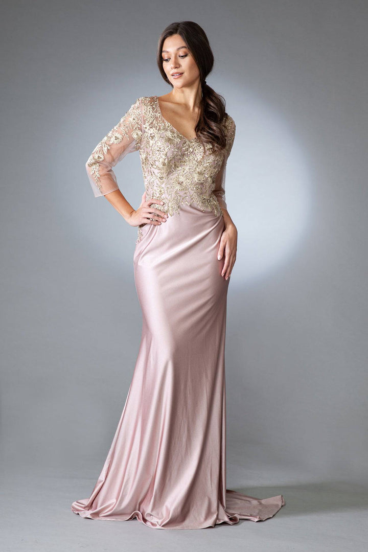 Open V-Back Mermaid Long Sleeves Long Mother Of The Bride Dress AC7039