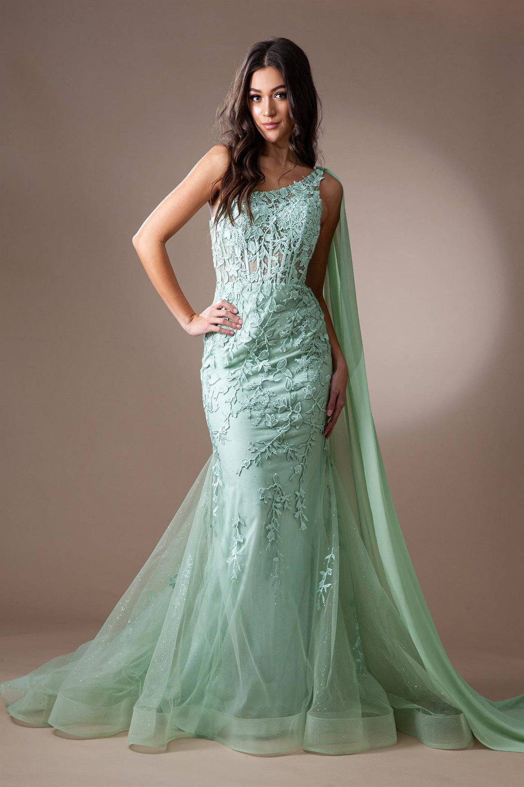 One Shoulder Embroidered Lace Mermaid Long Prom Dress AC7048