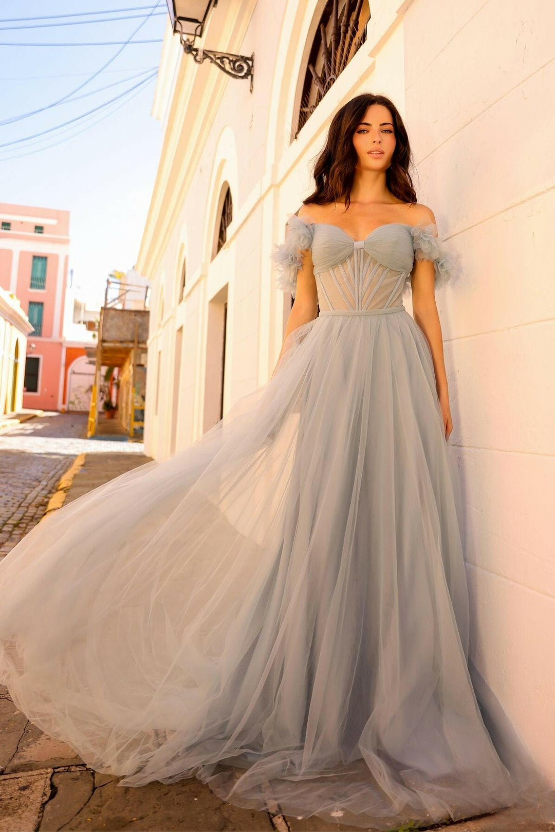 Tulle Sheer Bodice Off Shoulder Straps Open Back Long Prom Dress NXY1474-1