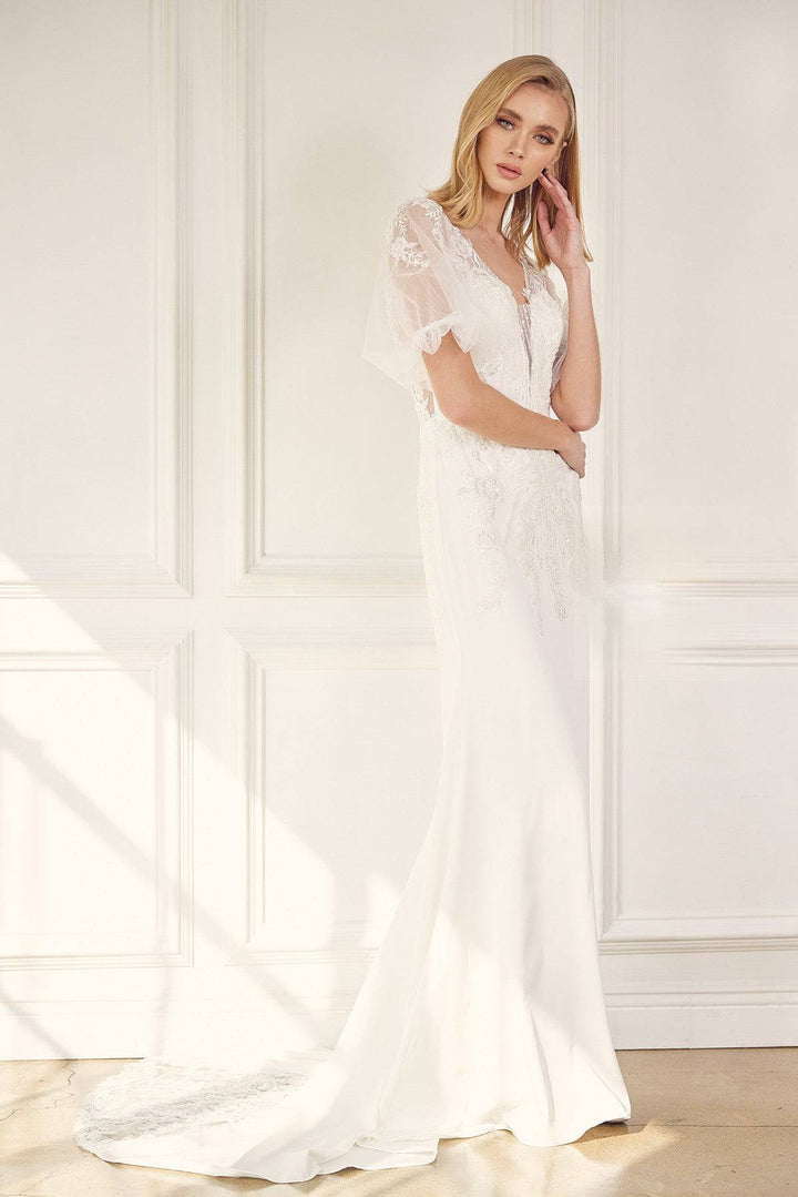 Embroidered Lace Sheer Back Tail Long Wedding Dress NXJE927