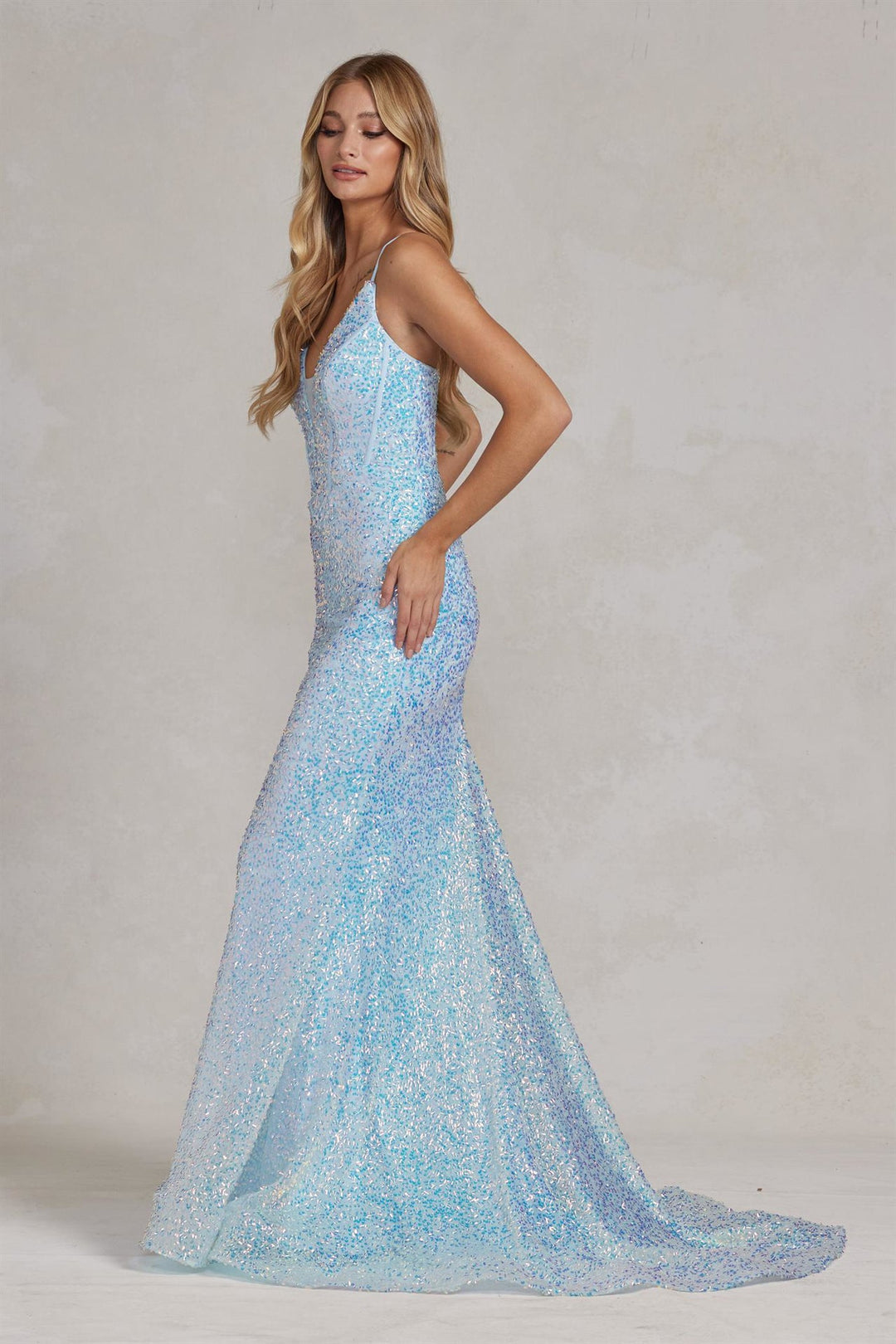 Embroidered Sequins Illusion V-Neck Open Back Mermaid Long Evening Dress NXC1094-4