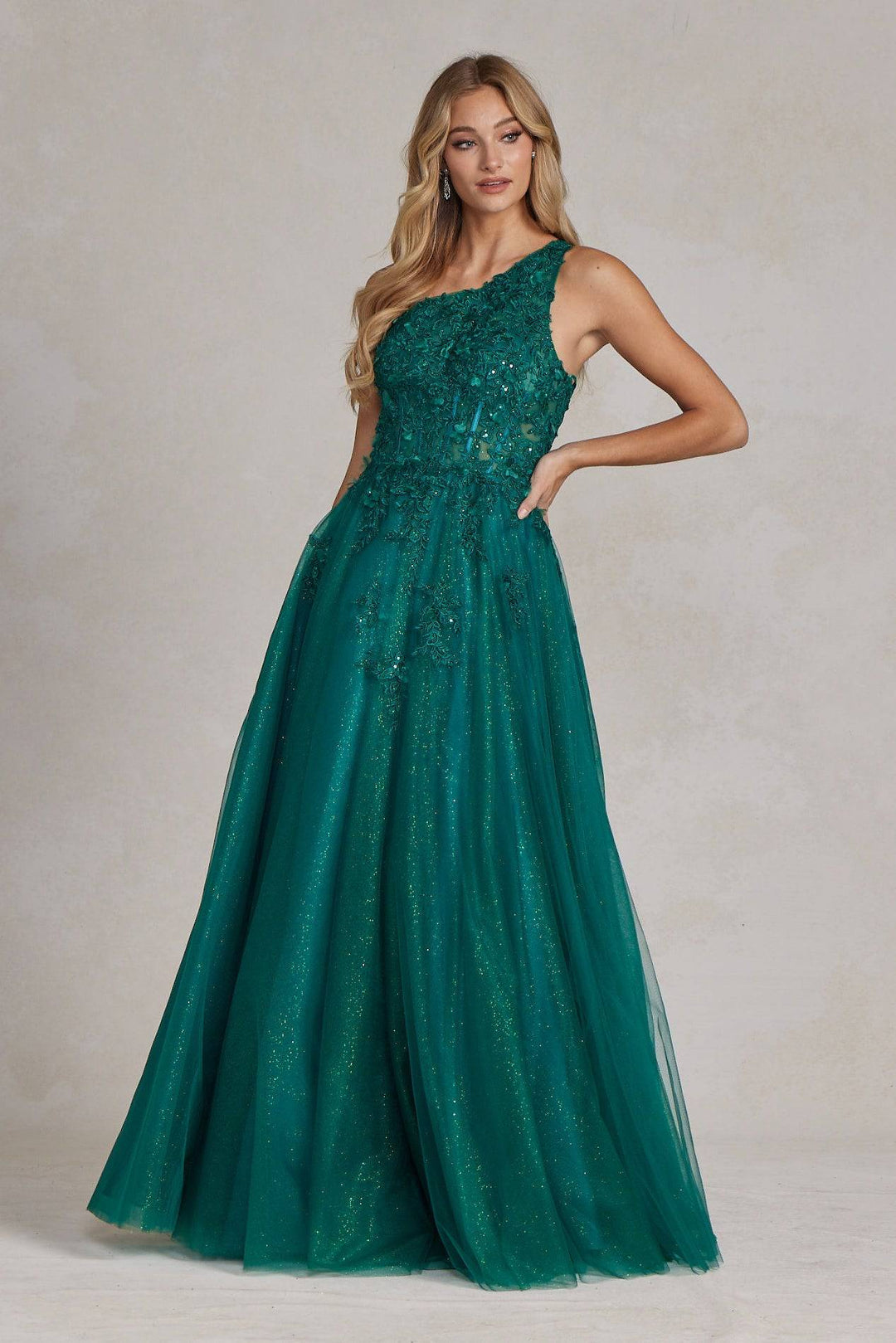 A-Line Embroidered Bodice Halter Open Back Long Prom Dress NXT1143