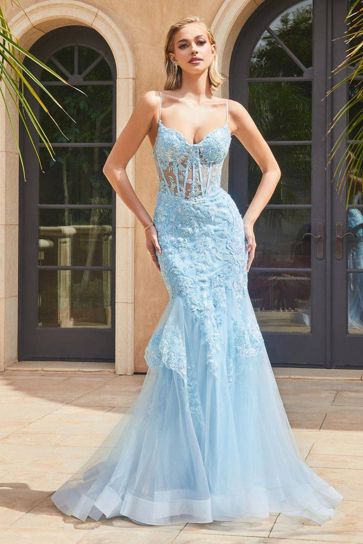 Lace & Tulle Mermaid Tulle Skirt Embroidered Long Prom Dress CD9316