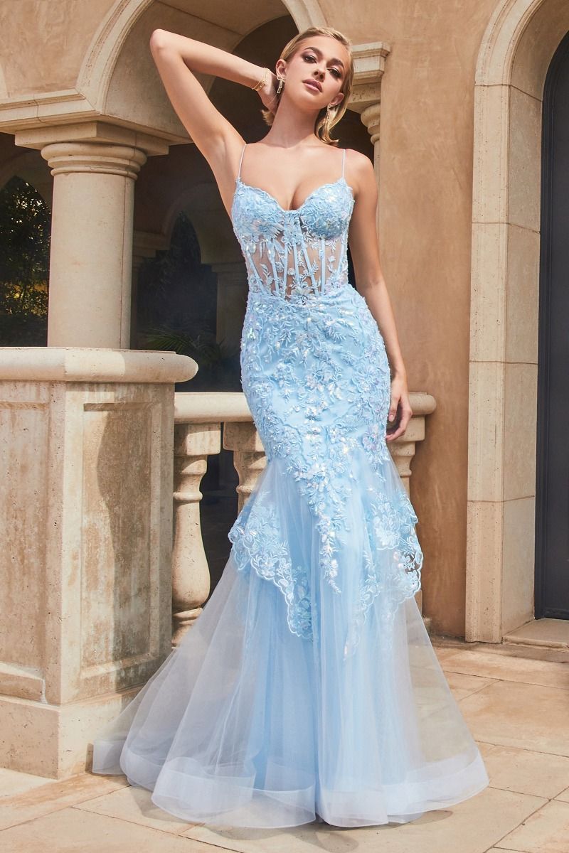 Lace & Tulle Mermaid Tulle Skirt Embroidered Long Prom Dress CD9316-0