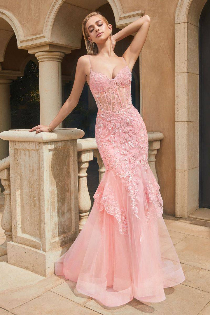 Lace & Tulle Mermaid Tulle Skirt Embroidered Long Prom Dress CD9316