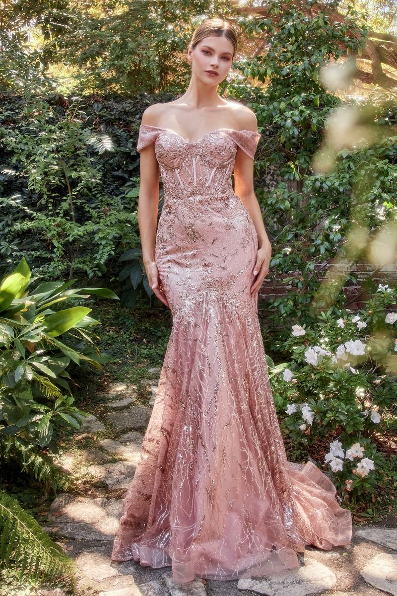 Off The Shoulder Sheer Sequin Strapless Bodice Mermaid Lace Fit Flare Long Evening & Gala Dress CDA1107-1