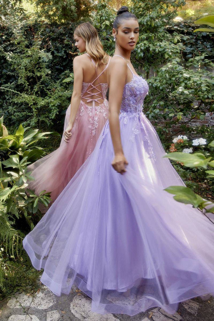 Fluttering Butterfly Applique A-Line Scoop Neck Laced Open Back Floral Long Prom Dress CDA1141