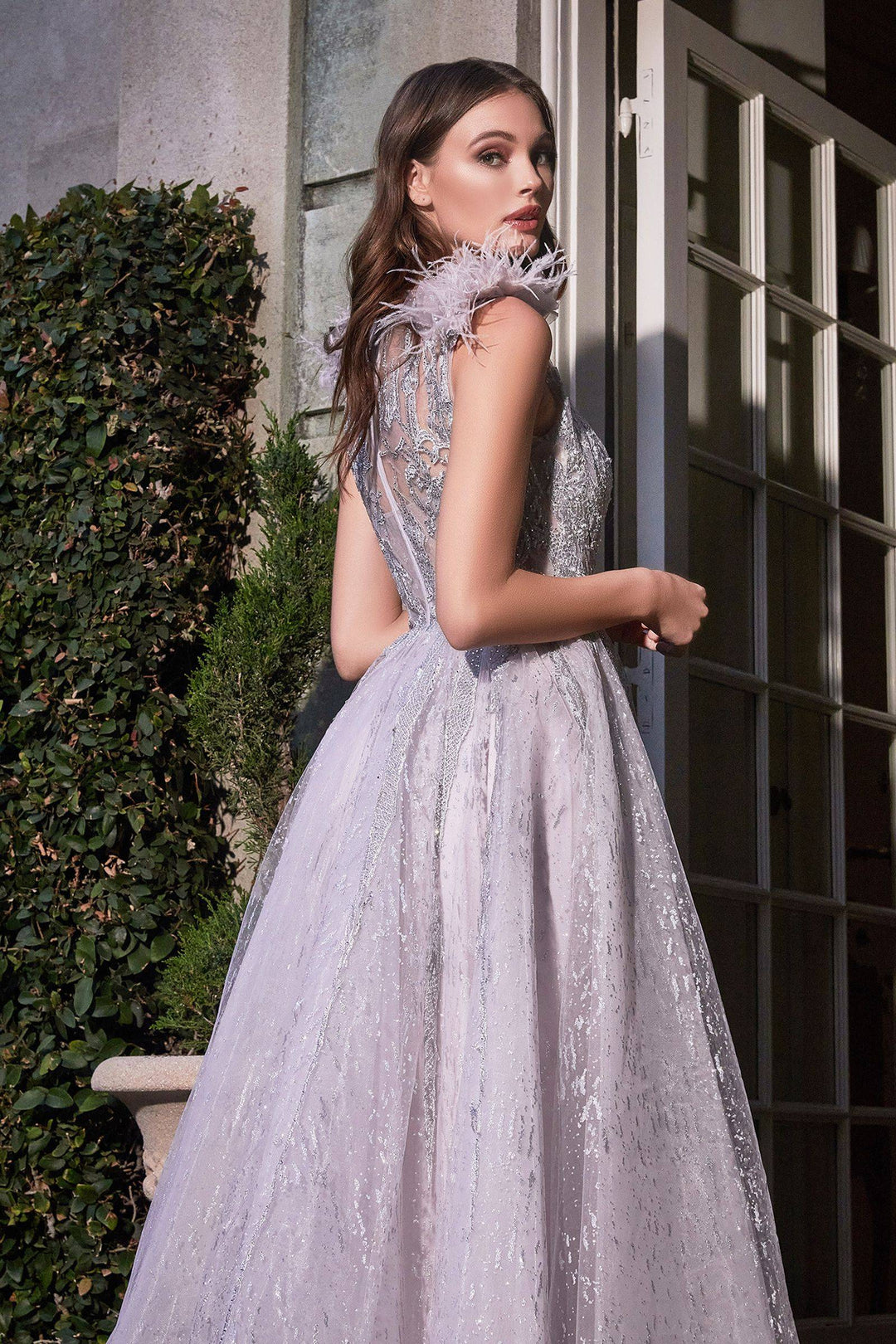 Feather Layered Tulle A-Line Embroidererd Bodice Long Prom Dress CDB704