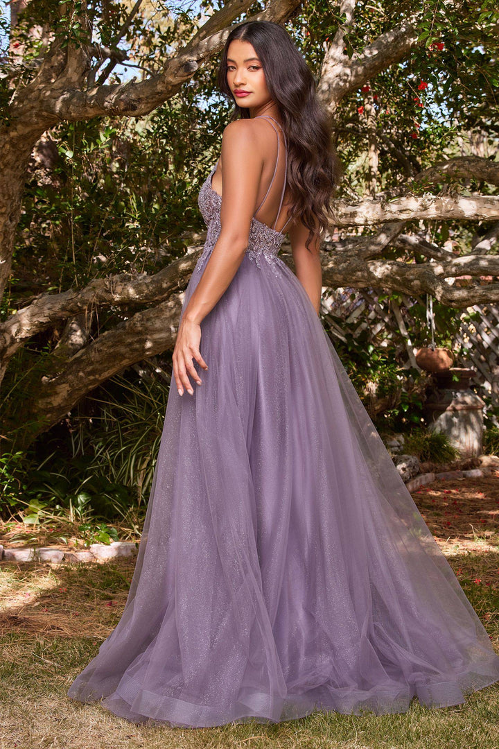 Layered Tulle Vintage Appliqué Bodice Doubled Straps V-neck A-line Long Prom Dress CDCD0154