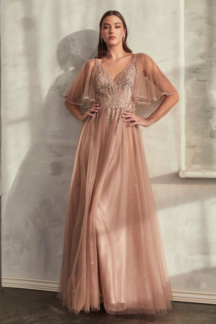 Layered Tulle Skirt A-Line Embroidered Bodice Long Mother Of The Bride Dress CDCD0175