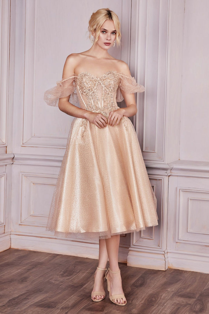 Layered Tulle Sheer Structured Corset Sweetheart Bodice Tea Length Prom & Bridesmaid Dress CDCD0187-4