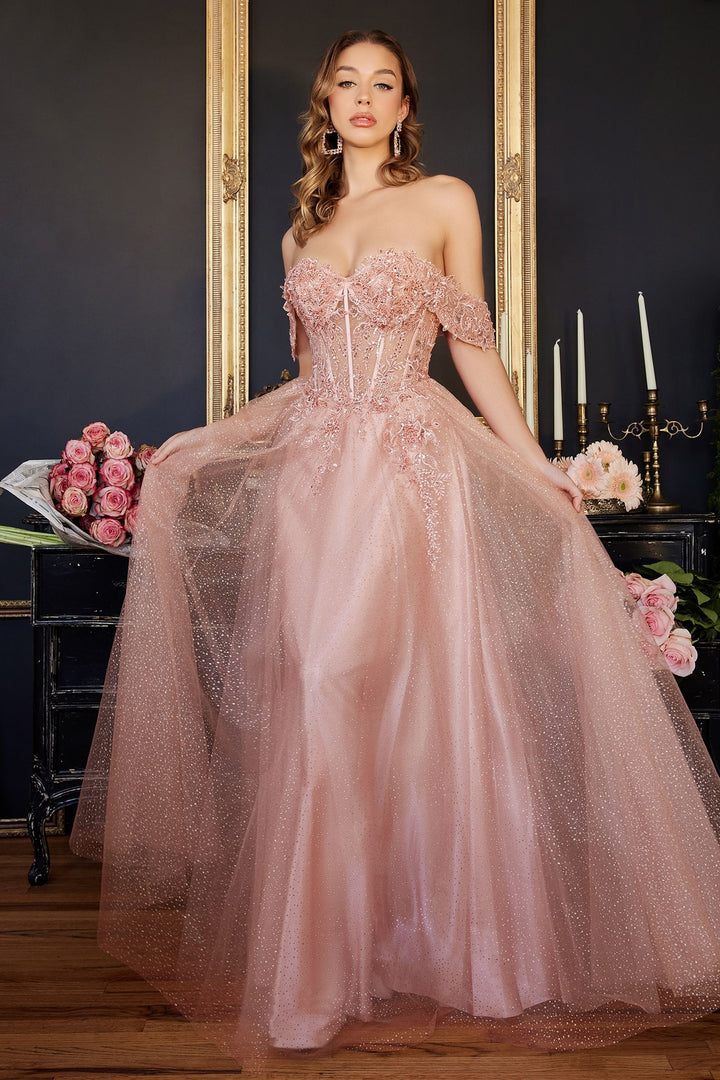 Lace A-Line Off the shoulder Sleeves Floral Sheer Bodice Long Prom & Bridesmaid Dress CDCD0198-6