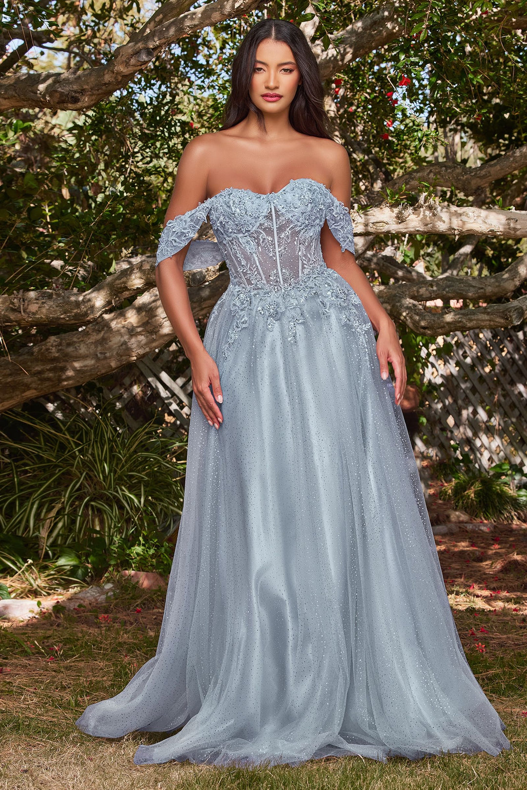 Lace A-Line Off the shoulder Sleeves Floral Sheer Bodice Long Prom & Bridesmaid Dress CDCD0198-1