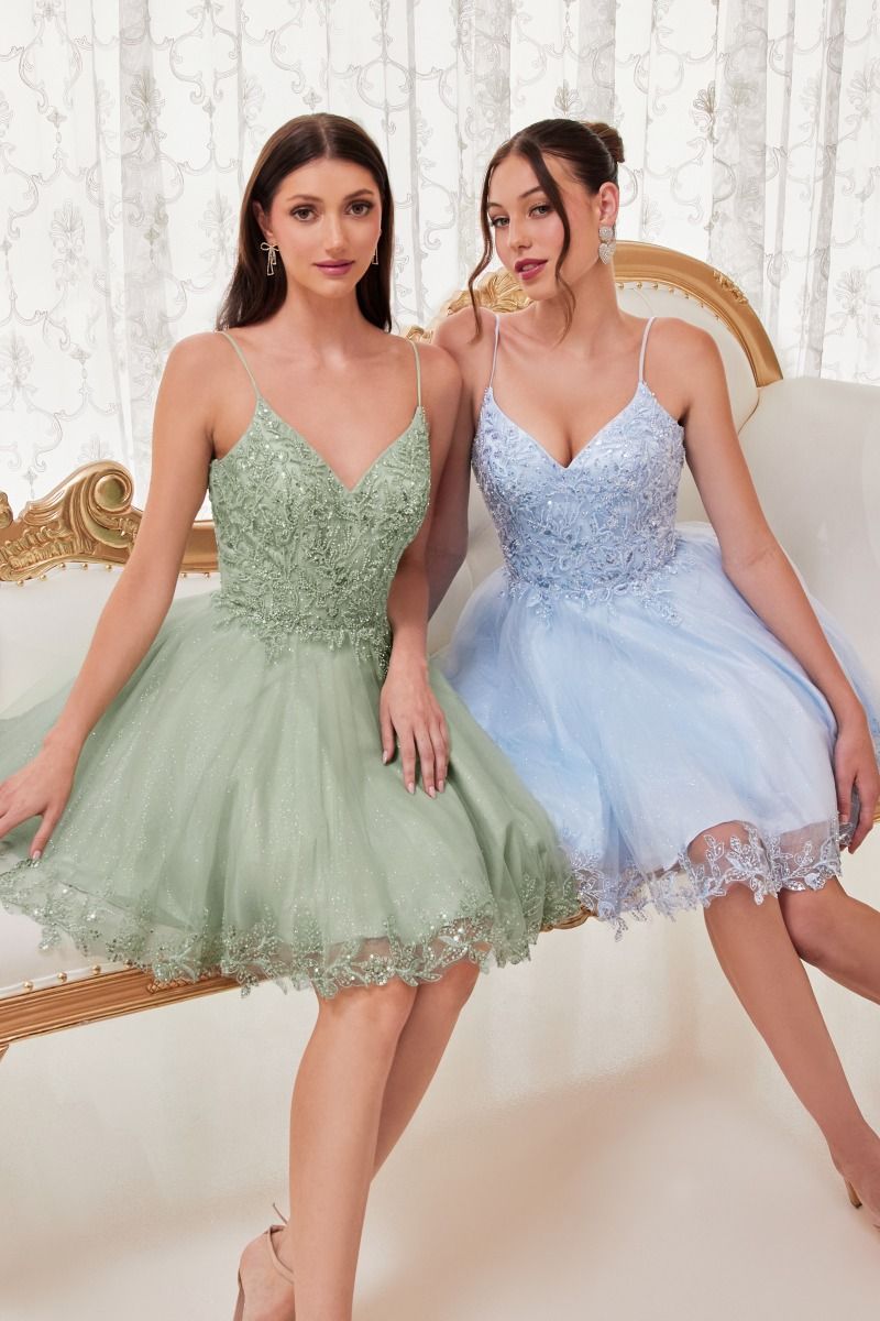 Spaghetti Straps A-Line Lace Tulle Shord Cocktail & Homecoming Dress CDCD0213-0