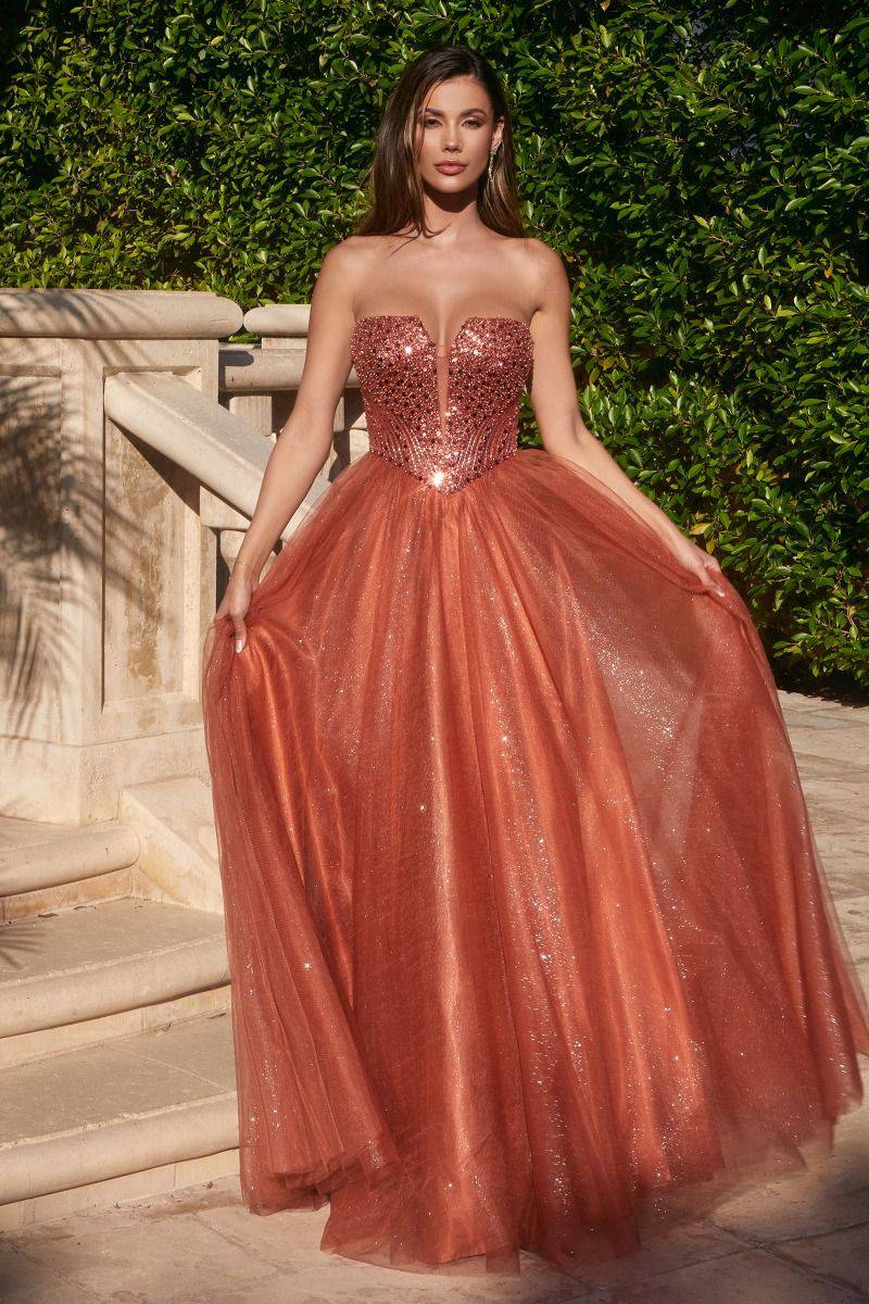 Strapless Sequin & Tulle A-Line Open Back Embroidered Bodice Long Prom Dress CDCD0217