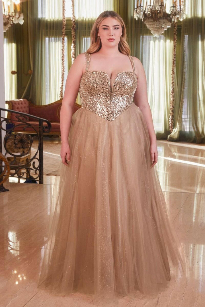 Strapless A-Line Embellished Bodice Plus Size Long Prom Dress CDCD0217C-1
