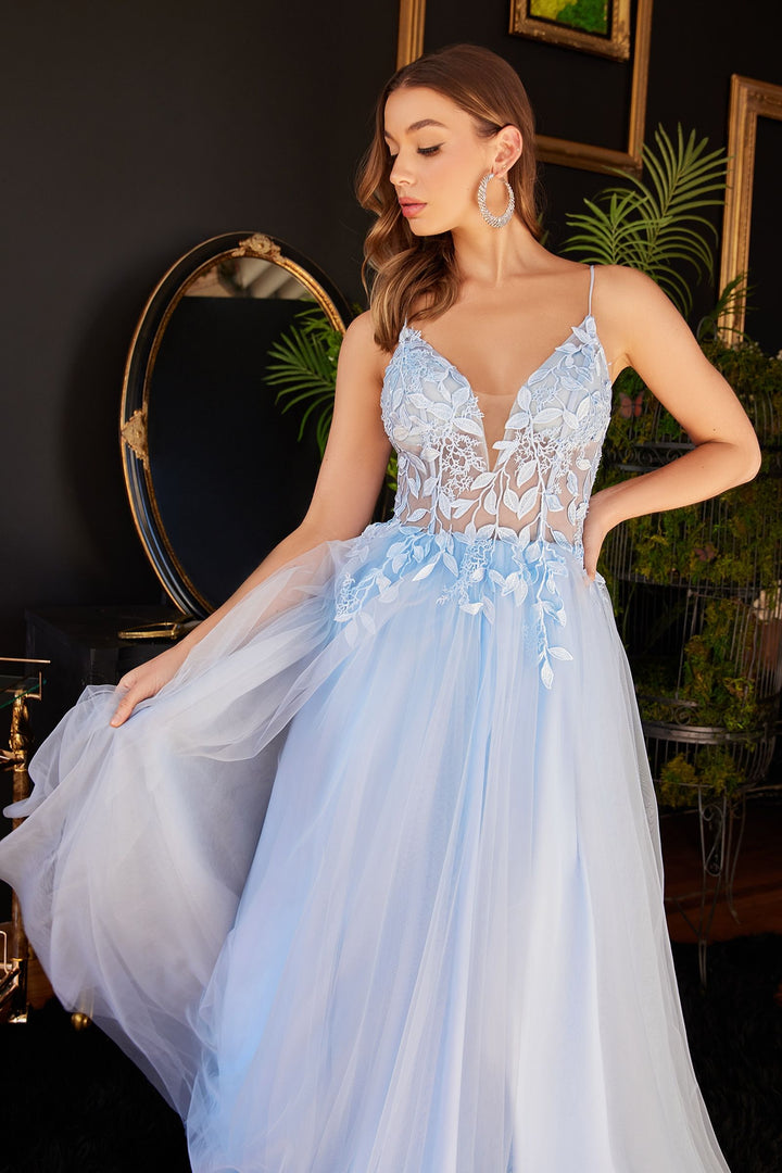 Layered Tulle A-Line Floral Vintage Sheer V-neck Spaghetti Strap Long Prom Dress CDCD2214-0