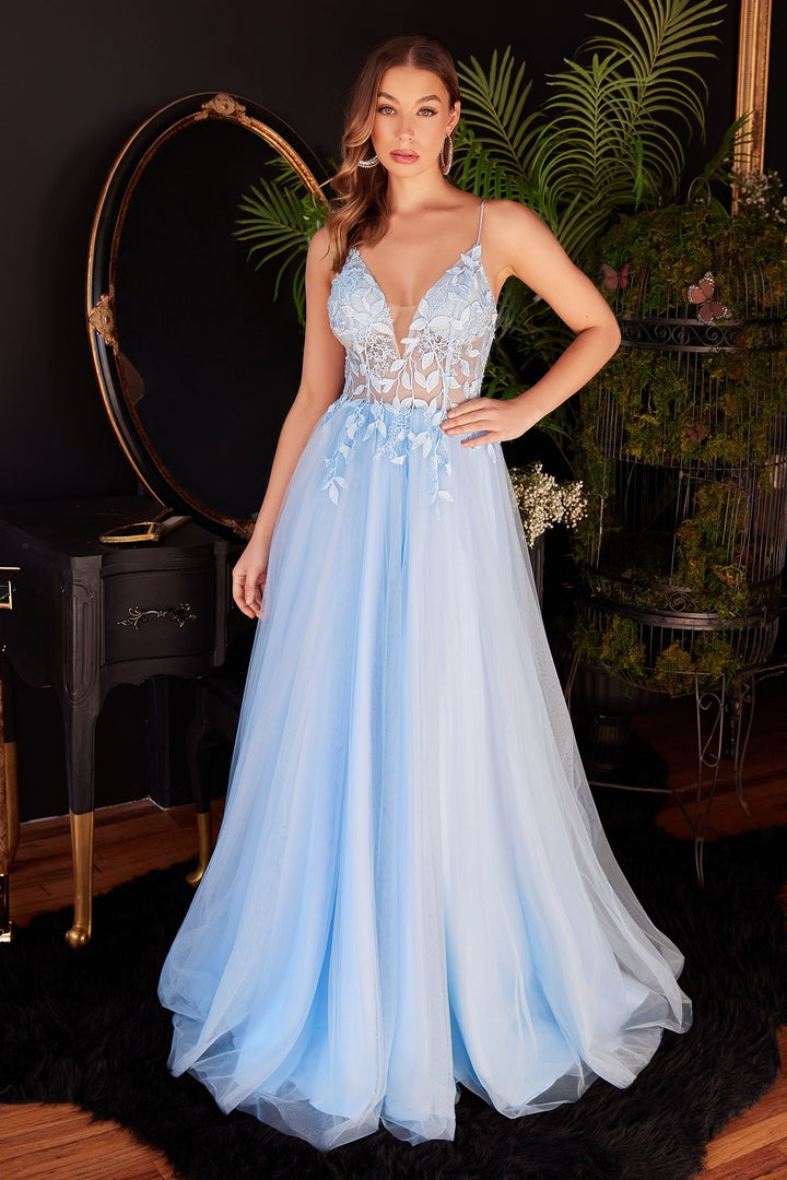 Layered Tulle A-Line Floral Vintage Sheer V-neck Spaghetti Strap Long Prom Dress CDCD2214-1