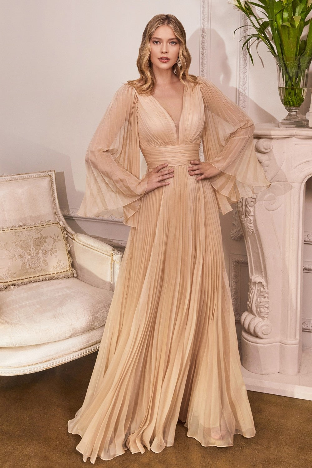 Pleated Chiffon Deep v-neck Open Back and Covered Shoulders Long Mother of the Bride Dress CDCD242 Sale-2