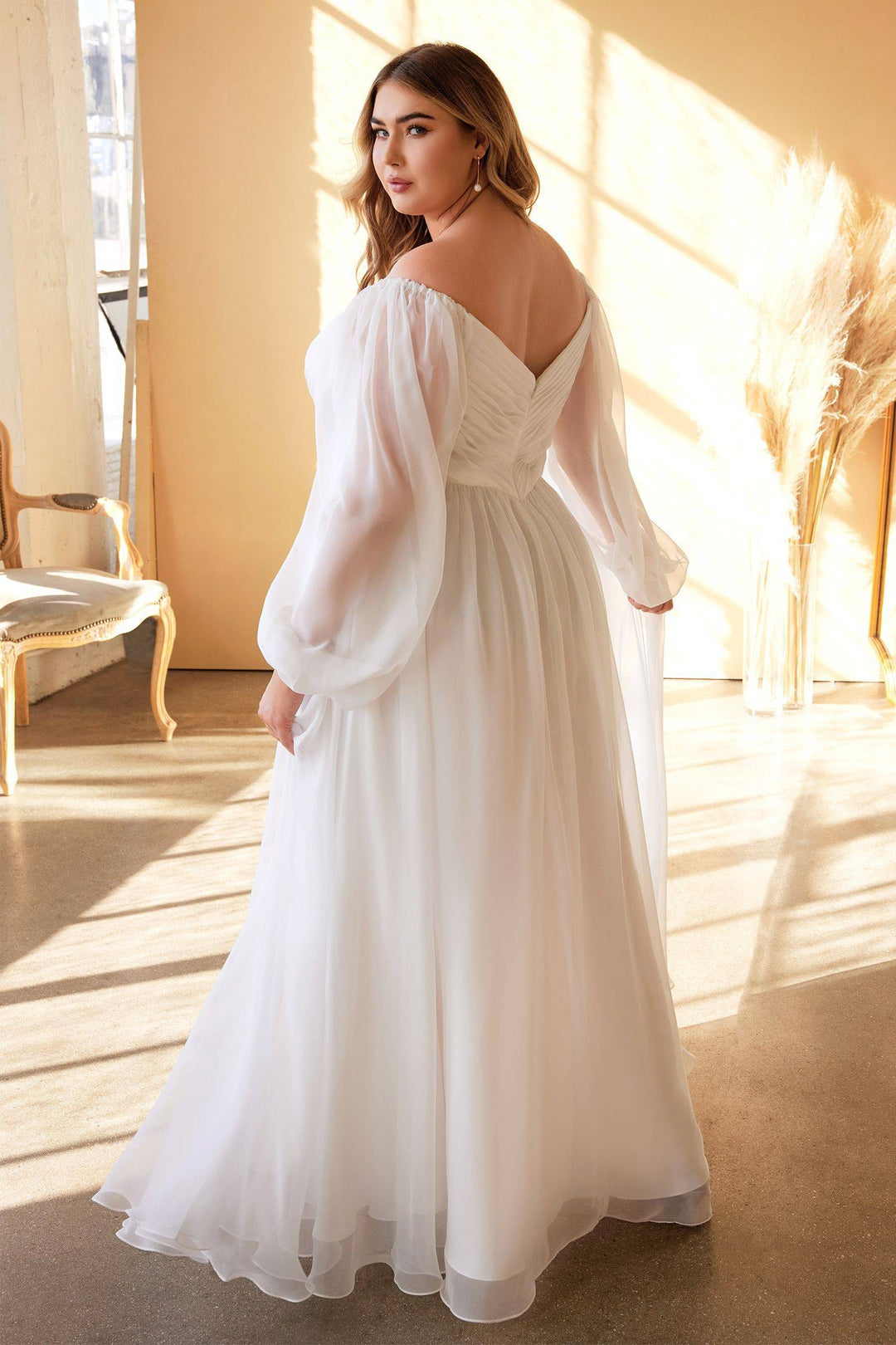 Plus Size Sweetheart Sheer Sleeves Chiffon Tulle Skirt Long Wedding Dress CDCD243WC