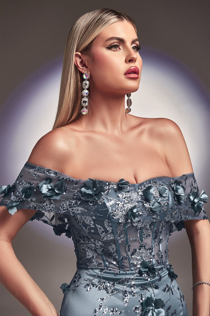 Floral Print Fitted 3D Applique Sheer off the shoulder Embellished Long Prom & Bridesmaid Dress CDJ832-2